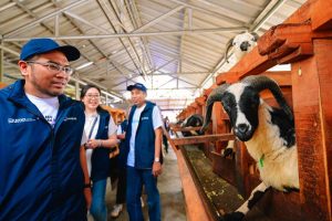 Rahasia MIND ID Dongkrak Produktivitas Pertanian RI: Bukan Sekadar Tambang!