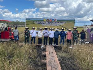 Keren! Papua Selatan Jadi Lumbung Pangan Baru Indonesia, Panen Raya Perdana Cetak Sawah Sukses Besar!