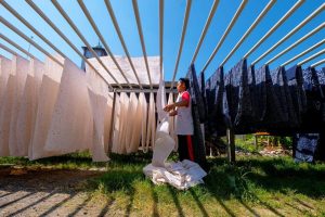 Raih Penghargaan Internasional, BRI: Raja UMKM Indonesia yang Tak Tergoyahkan!