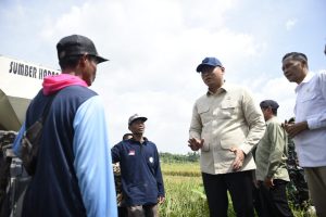 Petani Milenial Indonesia Raih Rekor Ekspor, Mendapat Dukungan Langsung dari Wamentan!