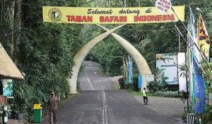 Rahasia di Balik Kerajaan Bisnis Taman Safari Indonesia: Siapa Sang Pemiliknya?