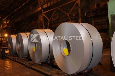 Trump Naikkan Tarif Baja! RI Siapkan Jurus Jitu Kuasai Pasar Asia-Afrika?