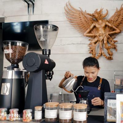 Rahasia Kopi Toraja Mendunia Terungkap! BRI Jadi Kunci Sukses UMKM Ini?