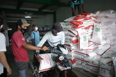 Petani Sumringah! Pupuk Subsidi Mengalir Deras, Produksi Pangan Nasional Terjamin?