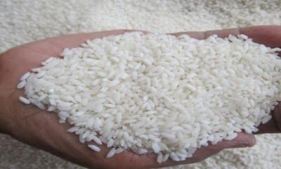 Harga Beras Terjungkal? Mentan Umumkan Kejutan Terbesar dalam Sejarah Pangan!