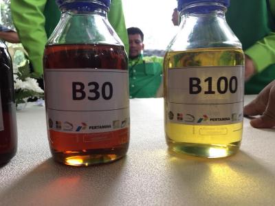 RI Gebuk Eropa di WTO! Biodiesel Indonesia Lolos dari Jeratan Bea Masuk!