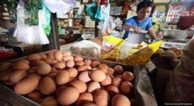 Harga Pangan Terbang Tak Terkendali! Beras, Ayam, Telur Bikin Dompet Menjerit?