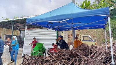 Terungkap! Jurus PLN Kejar Target Biomassa 3 Juta Ton, Apa Rahasianya?