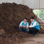 Terungkap! Rahasia Energi Masa Depan RI: Limbah Jadi Cuan Miliaran?