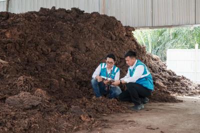 Terungkap! Rahasia Energi Masa Depan RI: Limbah Jadi Cuan Miliaran?