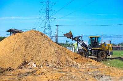 Terungkap! Strategi Jitu PLN Capai Target Biomassa 3 Juta Ton, Apa Rahasianya?