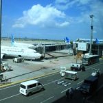 Garuda Indonesia Terbang Tinggi! Pendapatan Meroket, Tapi Ada Apa dengan Rute Penerbangan?