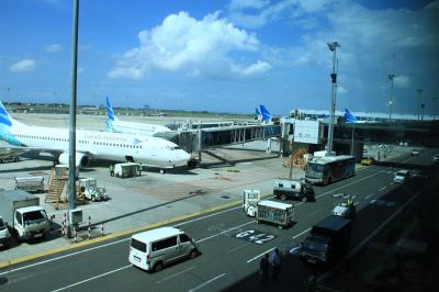 Garuda Indonesia Terbang Tinggi! Pendapatan Meroket, Tapi Ada Apa dengan Rute Penerbangan?