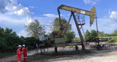 Terungkap! Rahasia Lifting Migas Tergantung Hal Ini, PLN Jadi Kunci?