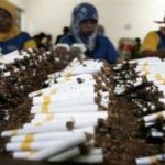 Industri Rokok di Ujung Tanduk? Kenaikan Cukai Ancam PHK Massal!