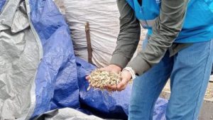 RI Tinggalkan Batu Bara? Strategi Rahasia Ubah Sampah Jadi 'Emas' Energi Terungkap!