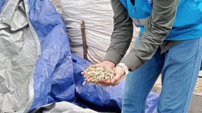 RI Tinggalkan Batu Bara? Strategi Rahasia Ubah Sampah Jadi 'Emas' Energi Terungkap!