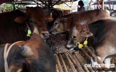 Desa Kaya Raya? Rahasia Limbah Jadi Sumber Cuan Terbongkar!