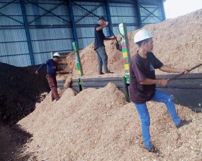 Era Batu Bara Berakhir? PLN Jamin Pasokan Biomassa PLTU Aman!