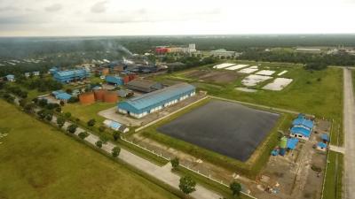 Listrik dari Limbah Sawit: KEK Sei Mangkei Makin Hijau, Emisi Turun Drastis!