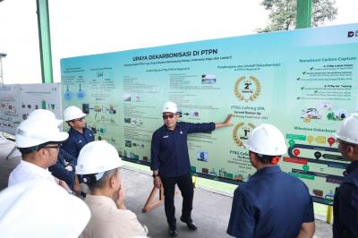 Terungkap! Transformasi Raksasa Sawit PalmCo: Bukan Sekadar Bisnis, Tapi Masa Depan Indonesia?