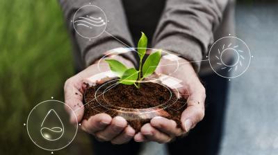 Listrik Hijau PLN Laris Manis! Penjualan Meroket, Industri Makin Peduli Lingkungan?