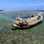 Geger! Invasi Global dan Konflik Kawasan Ancam 'Nadi' Ekonomi Maritim Indonesia 2026: Biaya Logistik Melejit, Daya Saing Terancam!