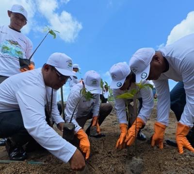 TERBONGKAR! Strategi 'Senyap' PNM Selamatkan Bumi dari Krisis Iklim: Ratusan Ribu Pohon Ditanam, Ini Dampak Fantastisnya bagi Ekonomi dan Lingkungan!