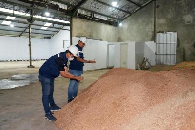 TERBONGKAR! Strategi Cerdas PLN dan Desa Wujudkan Emisi Nol, Rupiah Mengalir Deras dari Sampah Pertanian!