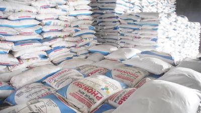 Gebrakkan Ekonomi Pertanian! Pupuk Subsidi 2025-2026 Dipastikan Lebih Efisien, Harga Turun Drastis 20%! Petani Siap Panen Berkah?