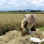 Terkuak! RI 'Borong' Produk Pertanian AS Rp75 Triliun, Ternyata Bukan Dana APBN! Strategi Jitu Pemerintah Lindungi Pasar Ekspor Triliunan Rupiah Terbongkar?