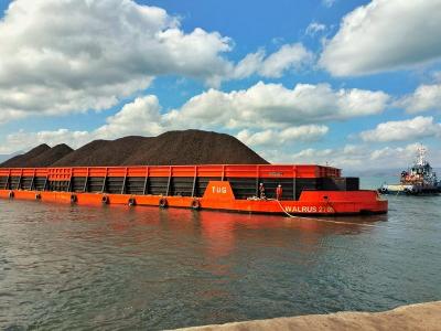 Jantung Ekonomi Terancam! Kebijakan Pemangkasan Produksi Batu Bara dan Lonjakan DMO Picu Kekhawatiran Krisis Listrik di Indonesia: Apindo Beri Peringatan Keras!