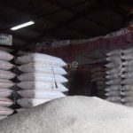 Terkuak! Impor Beras 1.000 Ton dari AS Bikin Heboh, Tapi Jangan Kaget: Bukan untuk Nasi Harian Anda! Ada Rahasia di Balik Kebijakan Ini?