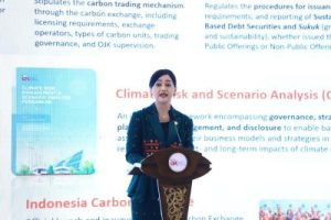 Palu Sidang DPR Resmi Ketuk! Friderica Widyasari Dewi Pimpin OJK: Apa Implikasinya bagi Stabilitas Pasar Keuangan Nasional?
