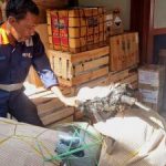 Jelang Lebaran 2026: Fenomena Ribuan Motor 'Terbang' Tanpa Pengemudi! Strategi Mudik Paling Cerdas Ini Hemat Waktu dan Tenaga, Untungnya Dobel!