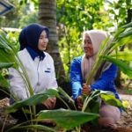 Terungkap! Strategi Jitu PNM Melesatkan Pendapatan Jutaan Wanita Prasejahtera hingga Rp875 Ribu Per Bulan: Revolusi Ekonomi Mikro Dimulai!