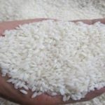 Terungkap! Rahasia Murah Atasi 'Kelaparan Tersembunyi' Bangsa: Bukan Obat, Tapi Ada di Meja Makan Anda!