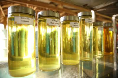 Revolusi Energi Hijau Dimulai! Lampung Siap Jadi Pusat Produksi Bioetanol Raksasa 60.000 KL, Ini Jadwal dan Dampak Ekonominya!