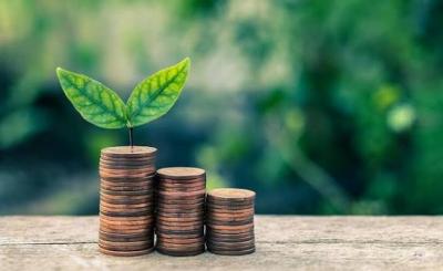 Gresik Gempar! Investasi Rp113,4 Triliun Banjiri KEK, Pemerintah Bocorkan Strategi Perluasan Besar-besaran yang Siap Ubah Peta Ekonomi Jawa Timur dan Ciptakan Puluhan Ribu Lapangan Kerja!