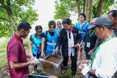 Terkuak! Harta Karun Tersembunyi Kalimantan: Lebah Kelulut Siap Angkat Ekonomi UMKM Lokal Hingga Puluhan Persen, Ini Strategi PLN EPI!