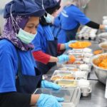 Geger! Program Makan Bergizi Rp3 Triliun Dihentikan Saat Libur Sekolah: Efisiensi Anggaran vs. Jeritan Pengusaha, Siapa yang Untung?