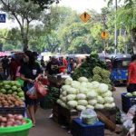 Dompet Lega! Harga Pangan Utama Anjlok Drastis, Daging Sapi Kini Mulai Terjangkau di Bawah Rp140 Ribu? Ini Rincian Lengkapnya!