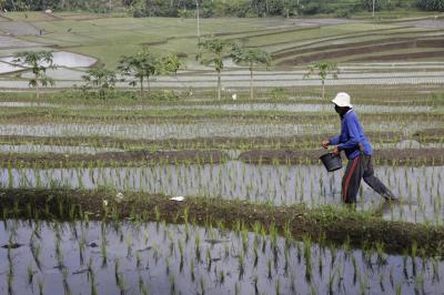 HEBOH! Lowongan Kerja Petugas Sensus Pertanian 2026 Bergaji Rp8 Juta, Kementan Beri Peringatan Keras: Jangan Sampai Terjebak!
