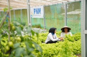 Empat Trofi Sekaligus! PNM Guncang Panggung Keberlanjutan Nasional, Terungkap Rahasia BUMN Ini Jadi Pelopor ESG dan Inklusi Keuangan!