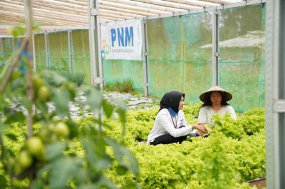 Empat Trofi Sekaligus! PNM Guncang Panggung Keberlanjutan Nasional, Terungkap Rahasia BUMN Ini Jadi Pelopor ESG dan Inklusi Keuangan!