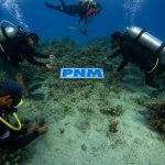 Lebih dari Sekadar Modal Usaha: PNM 'Menanam' Kekayaan Laut Demi Masa Depan Ekonomi Pesisir yang Berkelanjutan! Terkuak Strategi Jitu Mereka!