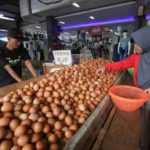 Kementan Atur Harga Telur Ayam Peternak Lega