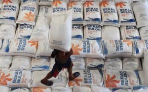 Target Pangan Nasional Nyaris Sempurna Ini Kuncinya