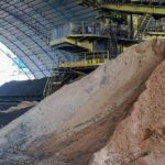 Terkuak Syarat Biomassa RI Sukses Besar