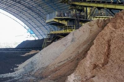 Terkuak Syarat Biomassa RI Sukses Besar